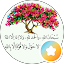 ابو منيف